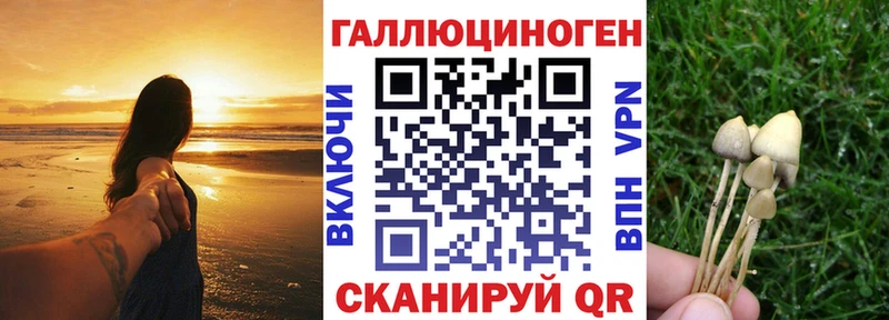 Галлюциногенные грибы Psilocybe  Кушва 